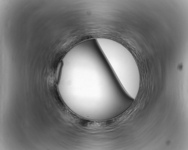 X0000099550129200805160735