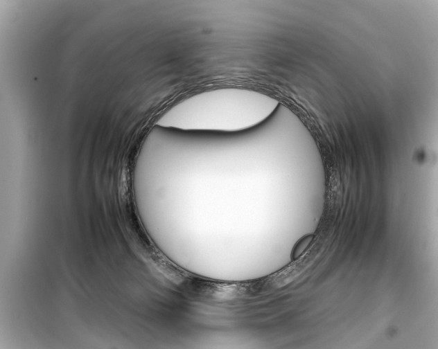 X0000099550130200805160735