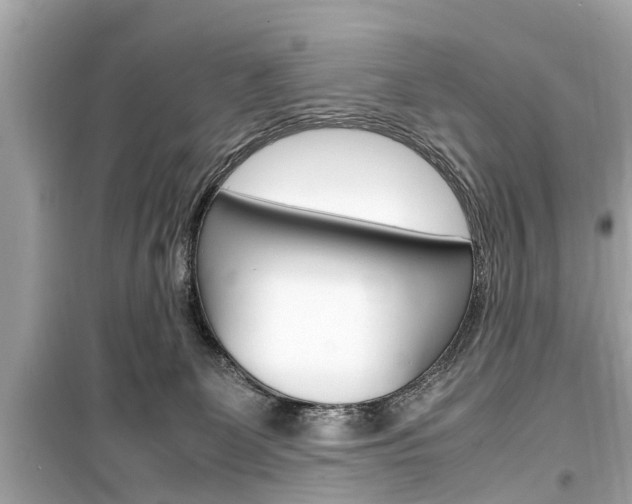 X0000099550131200805160735