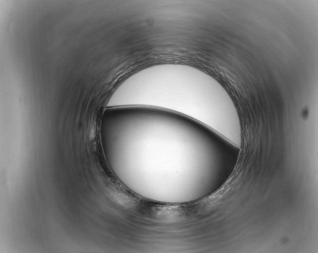 X0000099550132200805160735