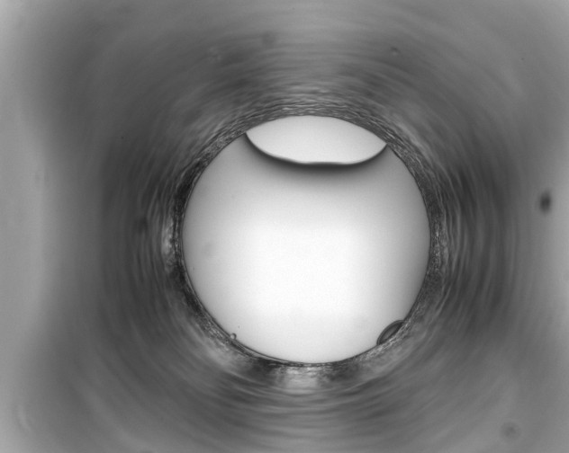 X0000099550134200805160735