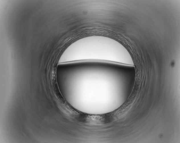 X0000099550137200805160735