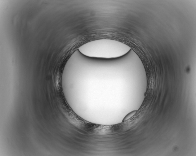 X0000099550138200805160735