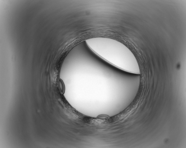 X0000099550139200805160735