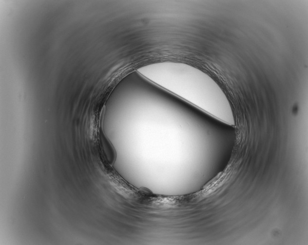 X0000099550140200805160735