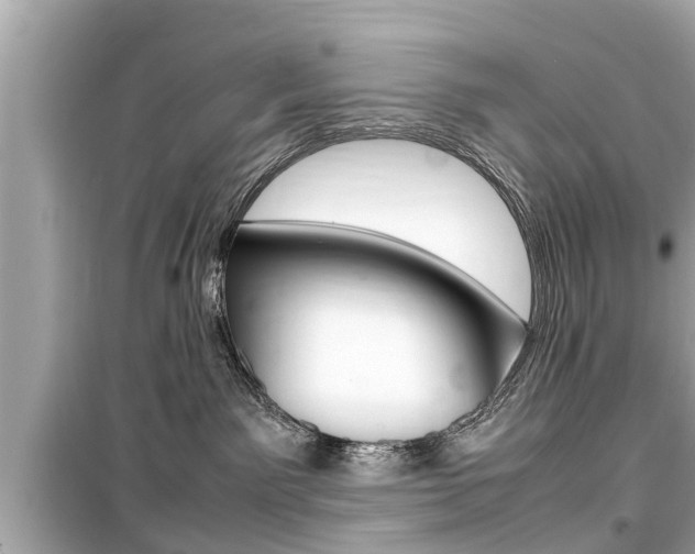 X0000099550141200805160735