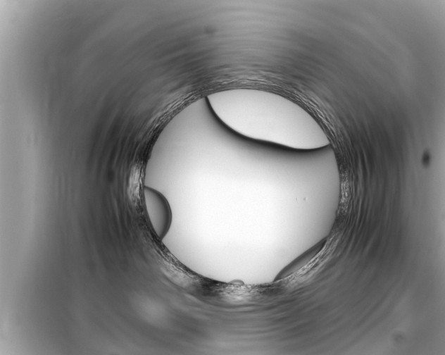 X0000099550142200805160735