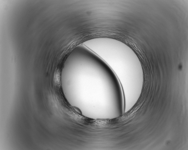 X0000099550143200805160735