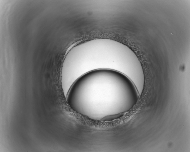 X0000099550144200805160735