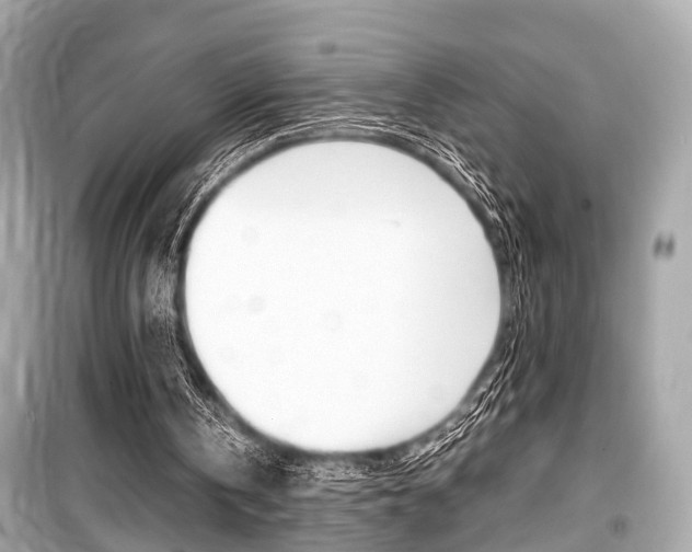X0000099550146200805160734