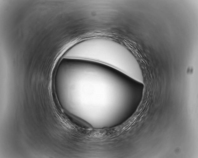 X0000099550148200805160734