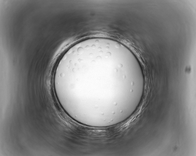 X0000099550151200805160735