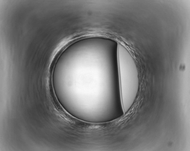 X0000099550152200805160735