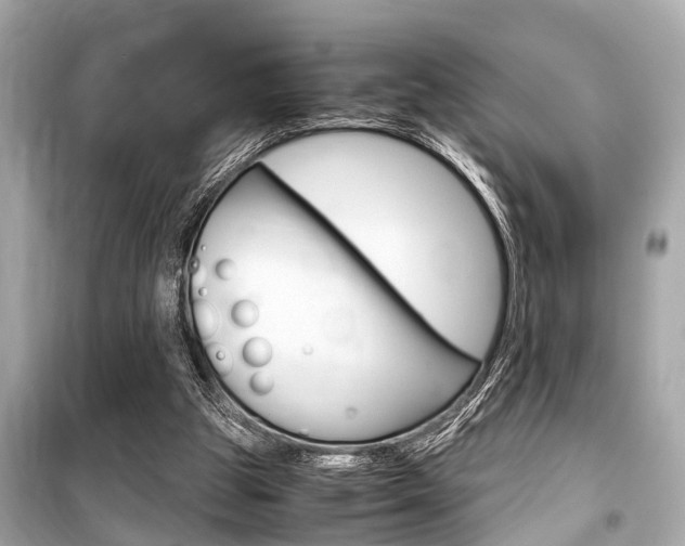 X0000099550153200805160735