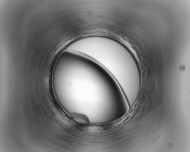 X0000099550154200805160735