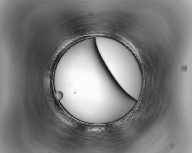 X0000099550155200805160735