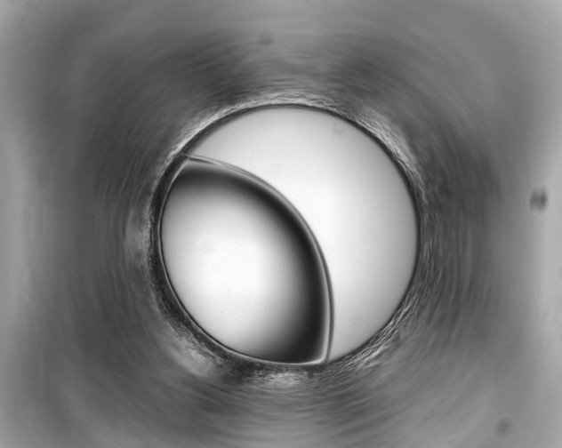 X0000099550156200805160735