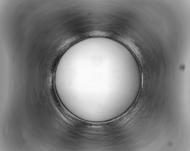 X0000099550157200805160735