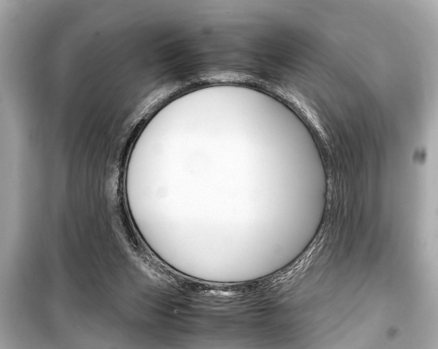X0000099550159200805160735