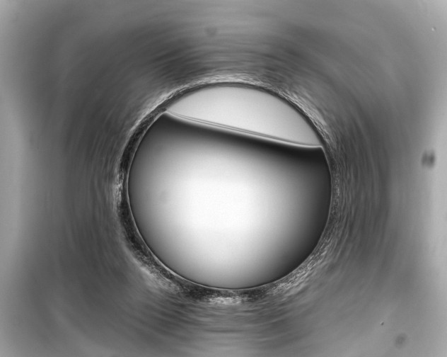 X0000099550160200805160735