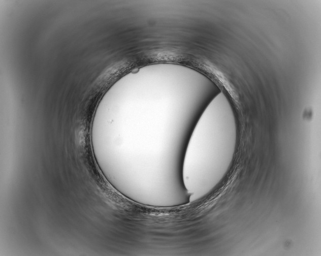 X0000099550161200805160735