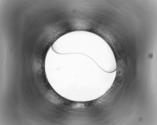 X0000099550162200805160735