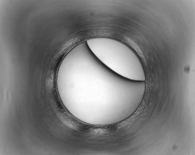 X0000099550163200805160735