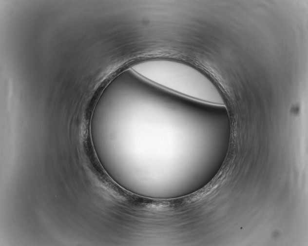 X0000099550164200805160735
