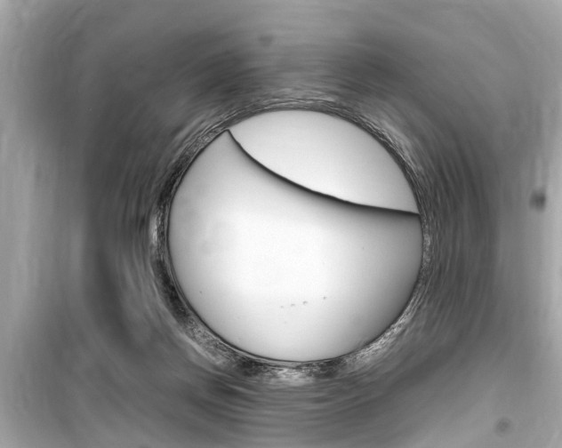 X0000099550166200805160735