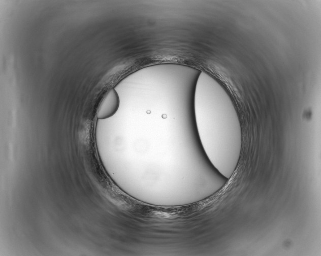 X0000099550167200805160735