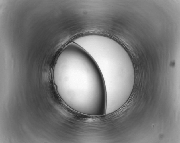 X0000099550168200805160735