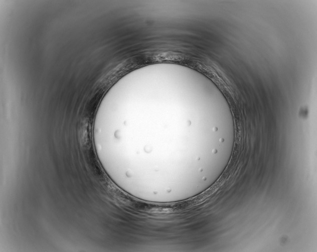 X0000099550169200805160735