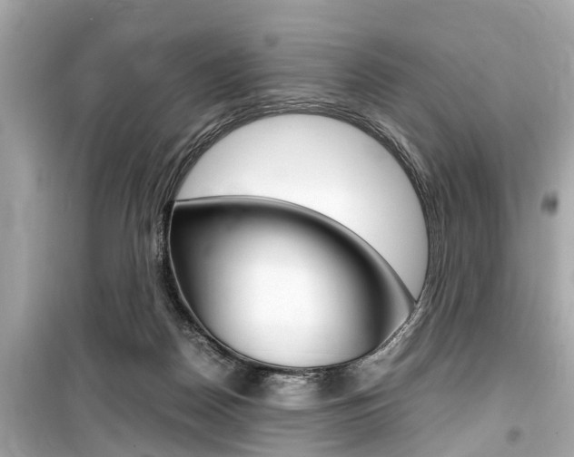X0000099550170200805160735