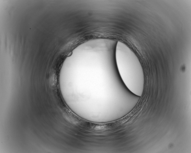 X0000099550173200805160735