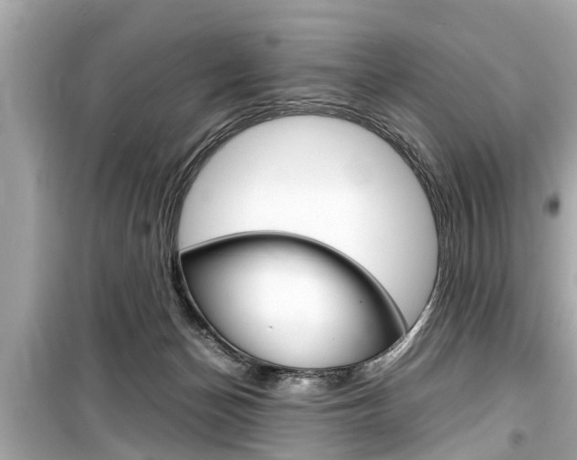 X0000099550174200805160735