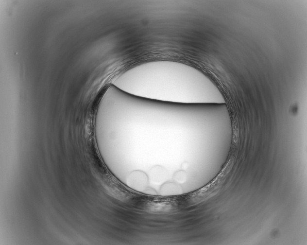 X0000099550175200805160735