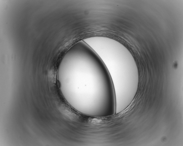 X0000099550180200805160735