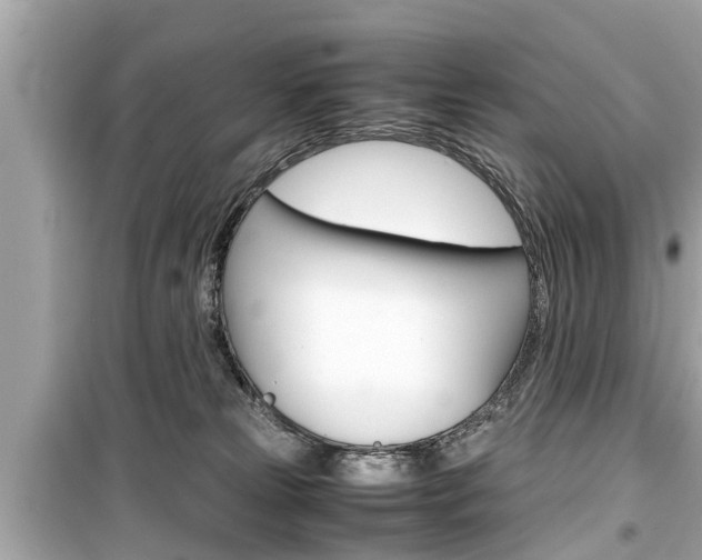 X0000099550181200805160735