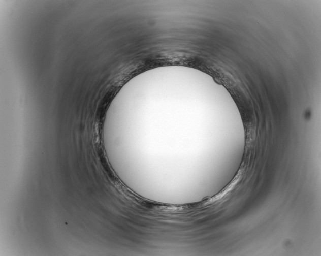 X0000099550182200805160735