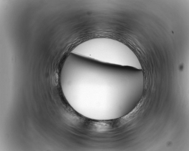 X0000099550183200805160735