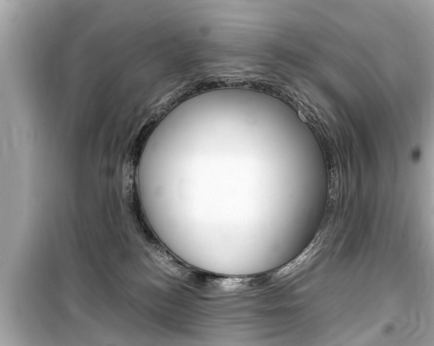 X0000099550184200805160735