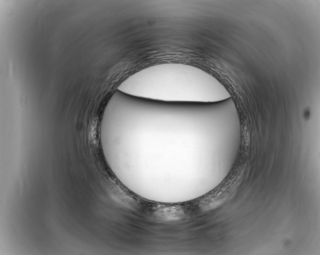 X0000099550185200805160735