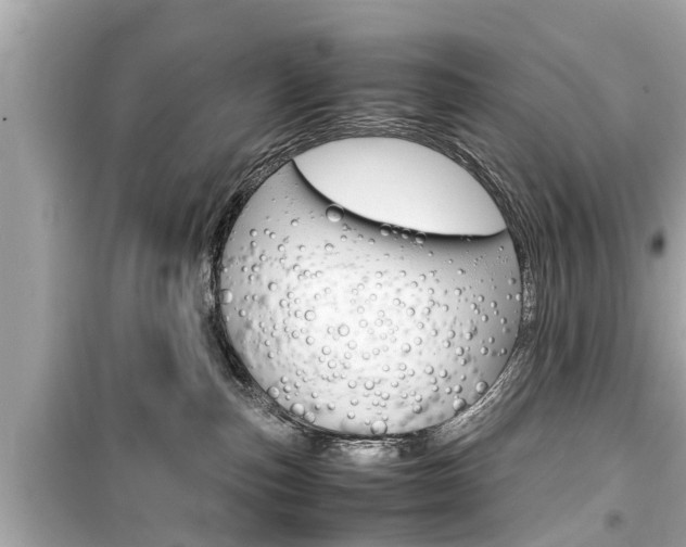 X0000099550187200805160735