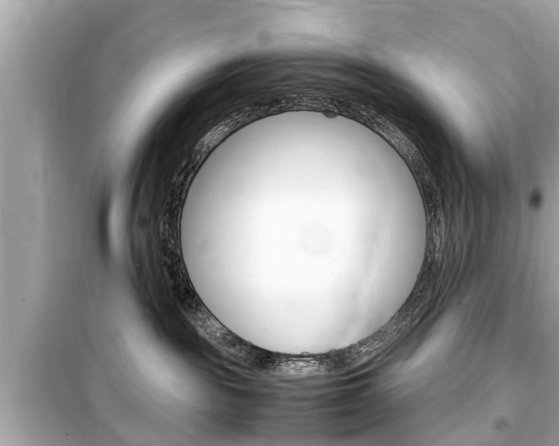 X0000099550189200805160735