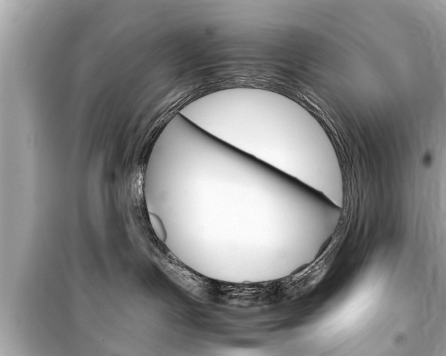 X0000099550191200805160735