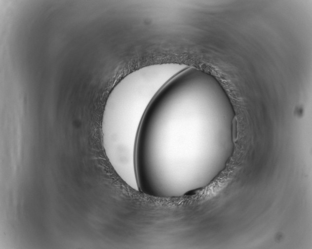 X0000099550192200805160735