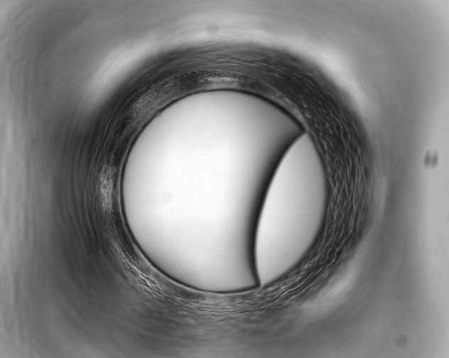 X0000099550194200805160734