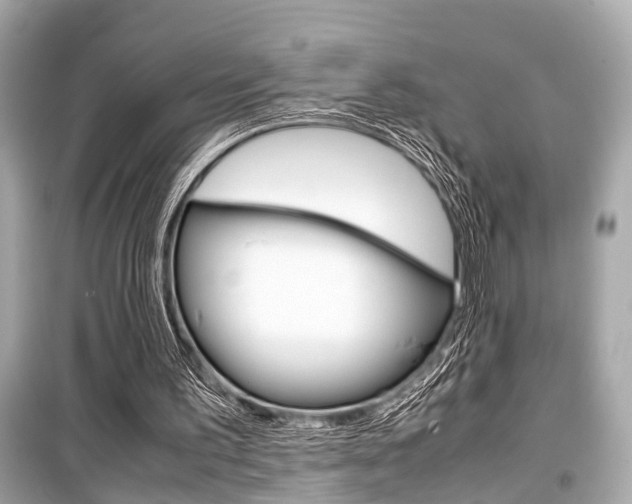 X0000099550195200805160734