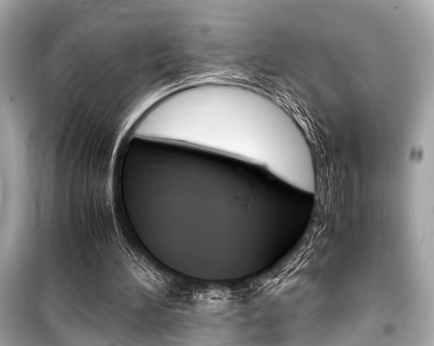 X0000099550196200805160734