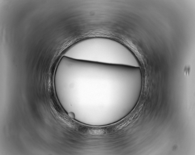 X0000099550202200805160734